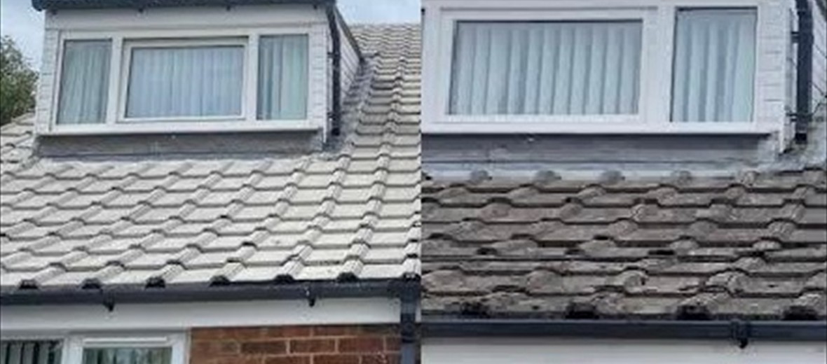 Roof Cleaning Services