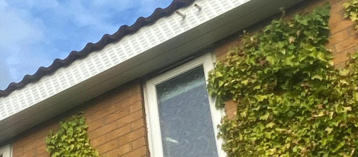 Roof Upgrades & Repairs